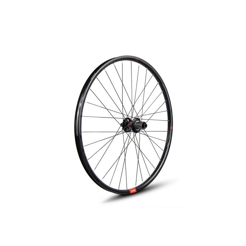 ROUE ARRIÈRE GURPIL ALPHA 29 12x142 6A TLR MICRO SPL