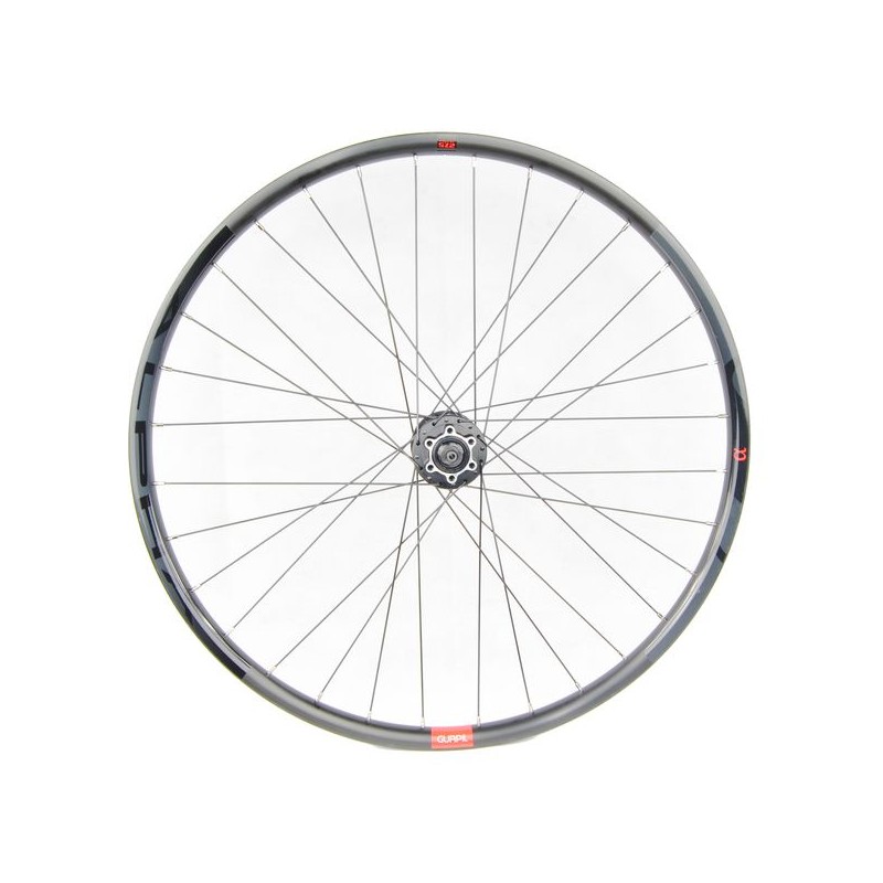 ROUE ARRIÈRE GURPIL ALPHA 29 9,5x135 6A TLR 8-11V PL
