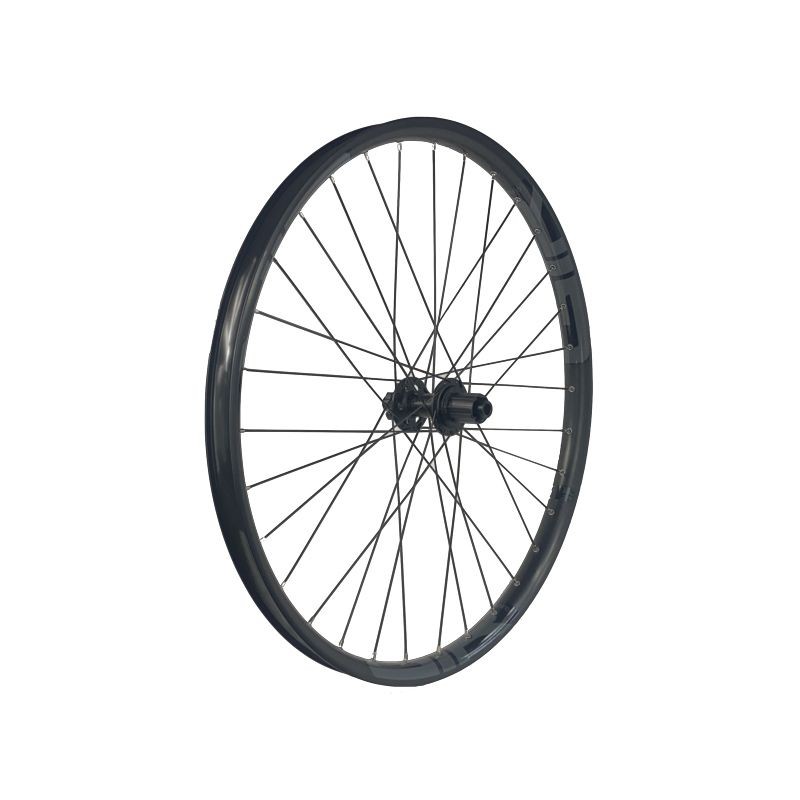 TR.GURPIL GTR SL35 EB 29 CL BOOST TLR MS AL WHEEL