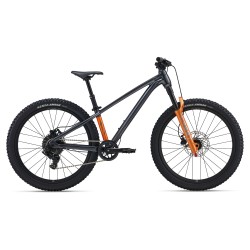 Vélo Fille GIANT LIV STP...