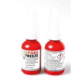 spoke Freeze DT Swiss...