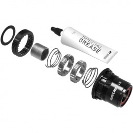 retrofit kit DT Swiss RW...