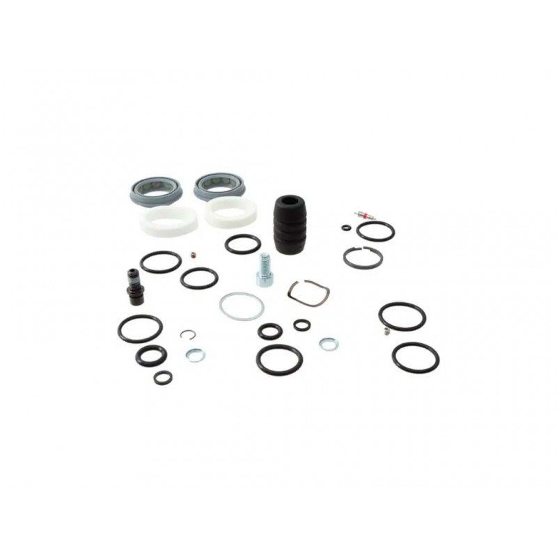 KIT D'ENTRETIEN RS REC SEKTOR GOLD