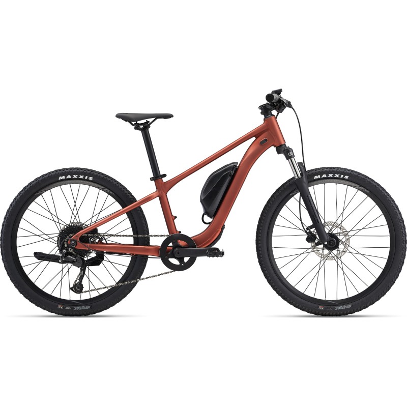 Vélo Électrique Enfant VTT TALON E+ 24 GIANT 2024