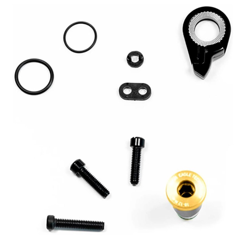 KIT DE VIS D'ASSEMBLAGE DE Dérailleur SRAM XX1 EAG GOLD HEX5