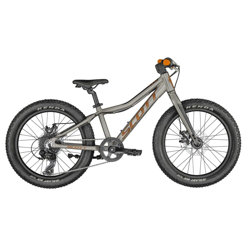 VÉLO SCOTT ROXTER 20 ARGENT (KH)