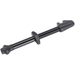 Valve tubeless VTT DT Swiss...